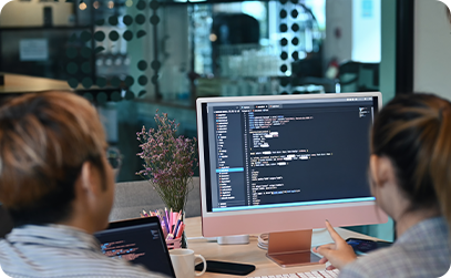 Expert developers working on secure systems